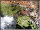 foto Cascate in Val Carazzagno